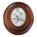 Wooden frame composed of a central piece of porcelain with floral motifs "Diplotaxis muralis"