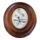 Wooden frame composed of a central piece of porcelain with floral motifs "Diplotaxis muralis"