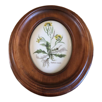 Wooden frame composed of a central piece of porcelain with floral motifs "Diplotaxis muralis"