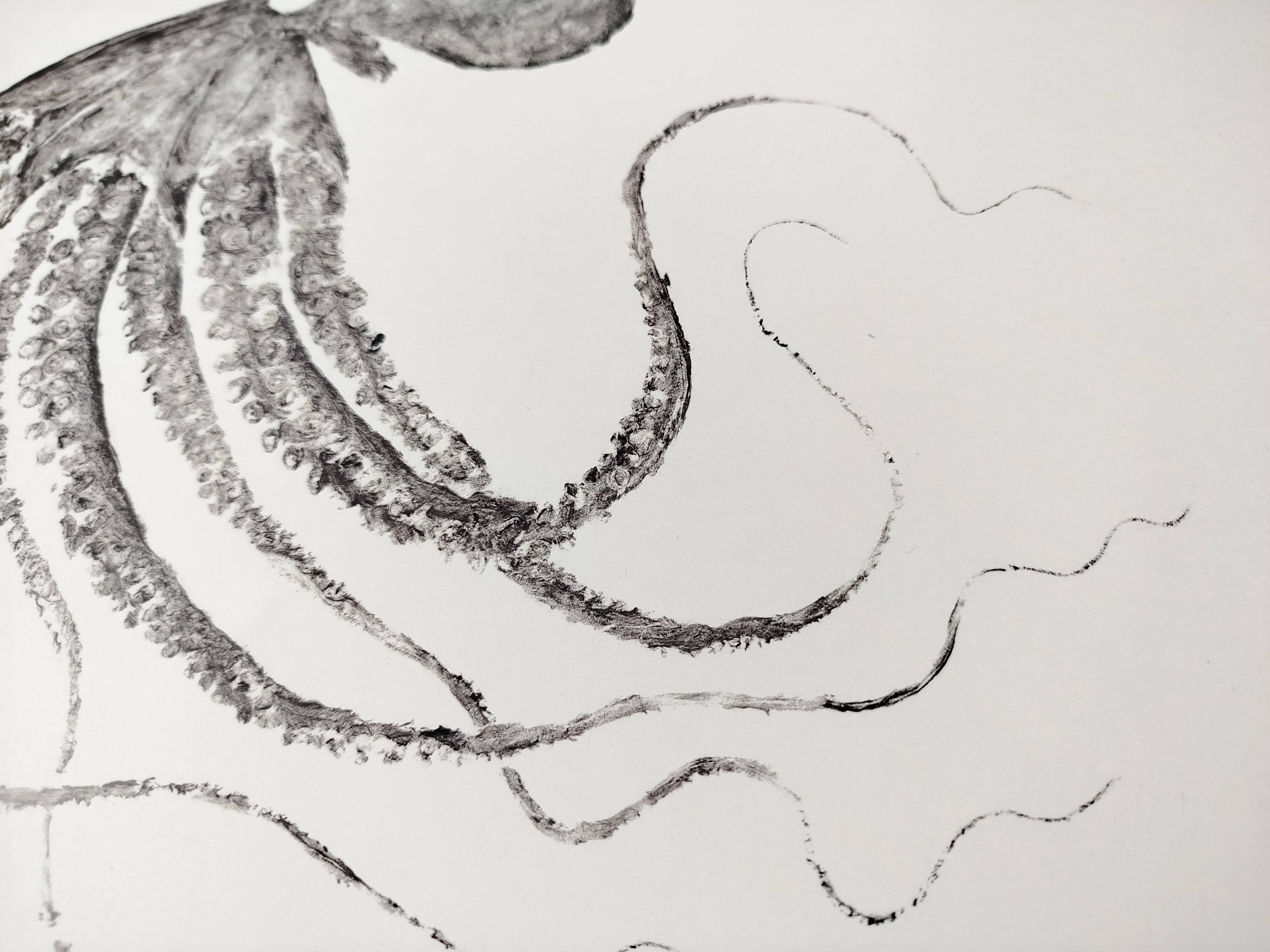 Framed art print, "Octopus Print" (gyotaku)