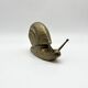 "XXL" brass snail – Germany, 1970s