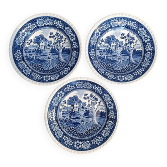 Lot de 3 assiettes creuses villeroy & boch rusticana - Avec défauts