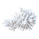 Corail blanc naturel cabinet de curiosités, années 70
