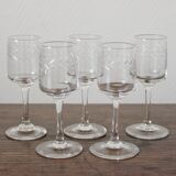 5 crystal digestive stemmed glasses engraved with laurel leaf frieze
