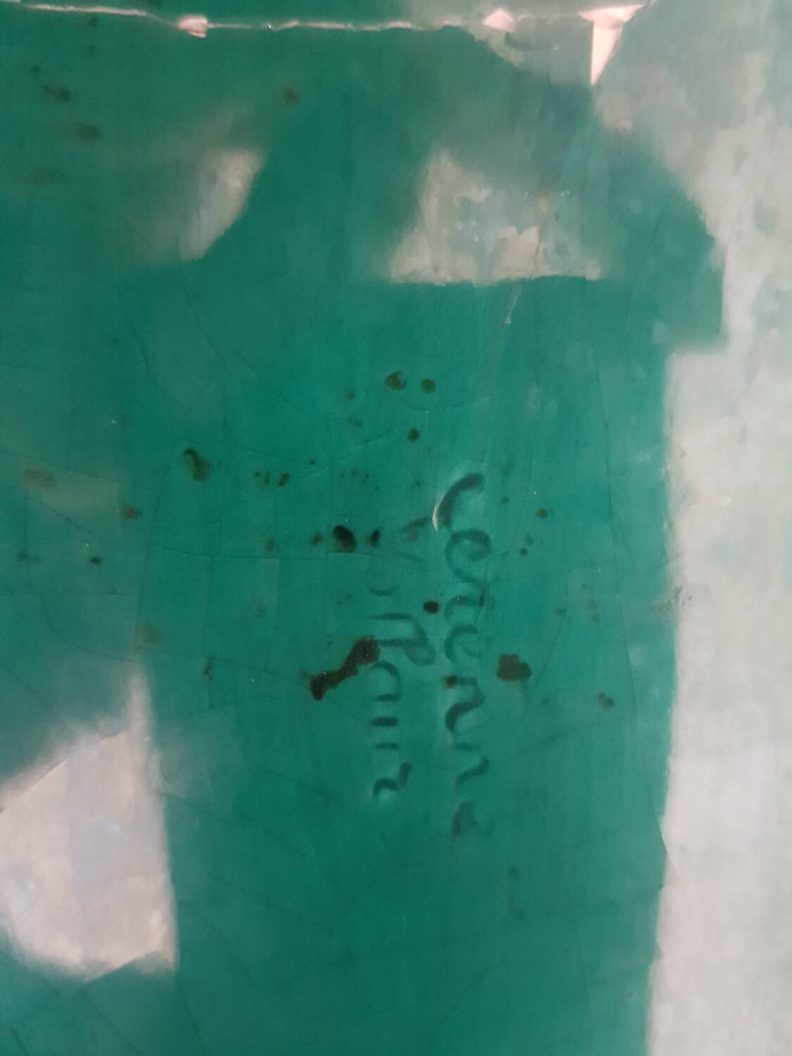 Fish service Cerenne Vallauris