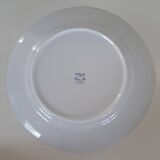 Soup tureen + Haviland plate