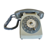 Telus Toad Phone, 1960