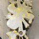 Walnut wood wall lamps, painted in yellow patina grey