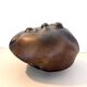 Brown Lacquered Ceramic Tulip Vase / Centerpiece by Giacomo Onestini