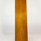 Library Bookcase from Novy Domov, 1960s