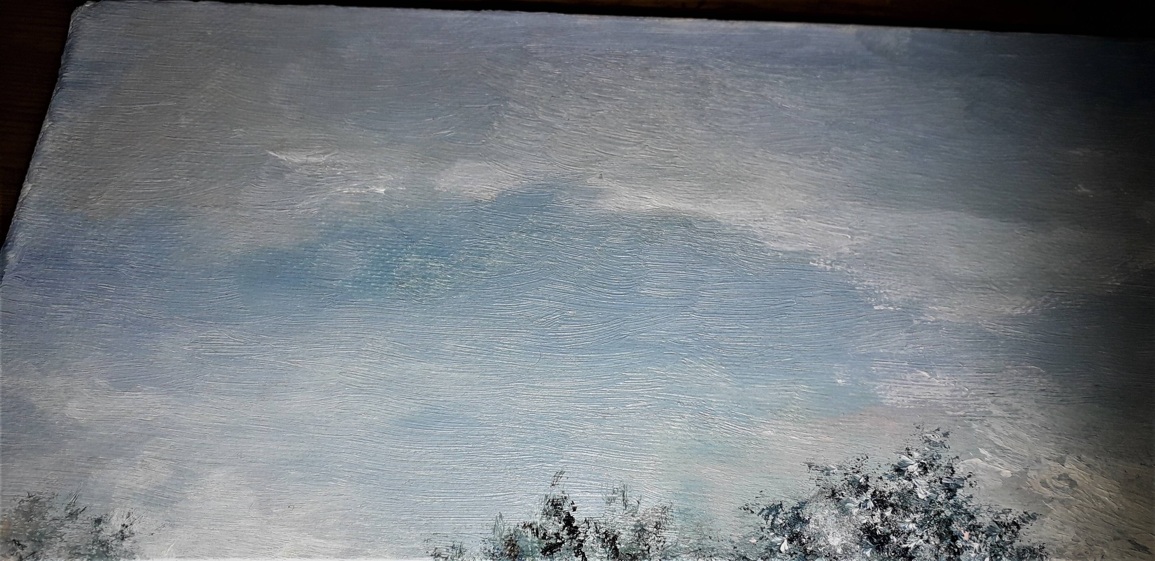 Beautiful oil painting on canvas 41 x 33 cm