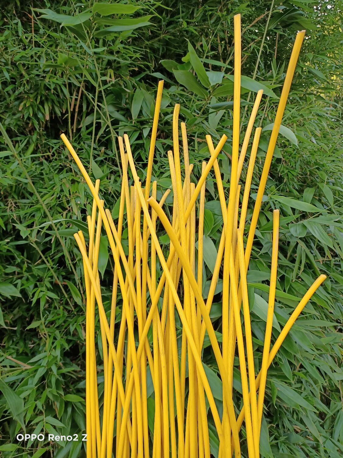 Yellow armchair"wave" rattan