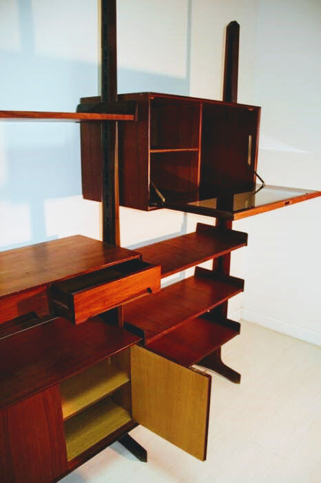 Bibliothèque mural en acajou Vittorio Dassi