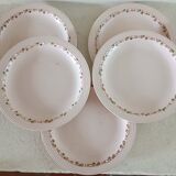5 plates Terre de fer Longwy