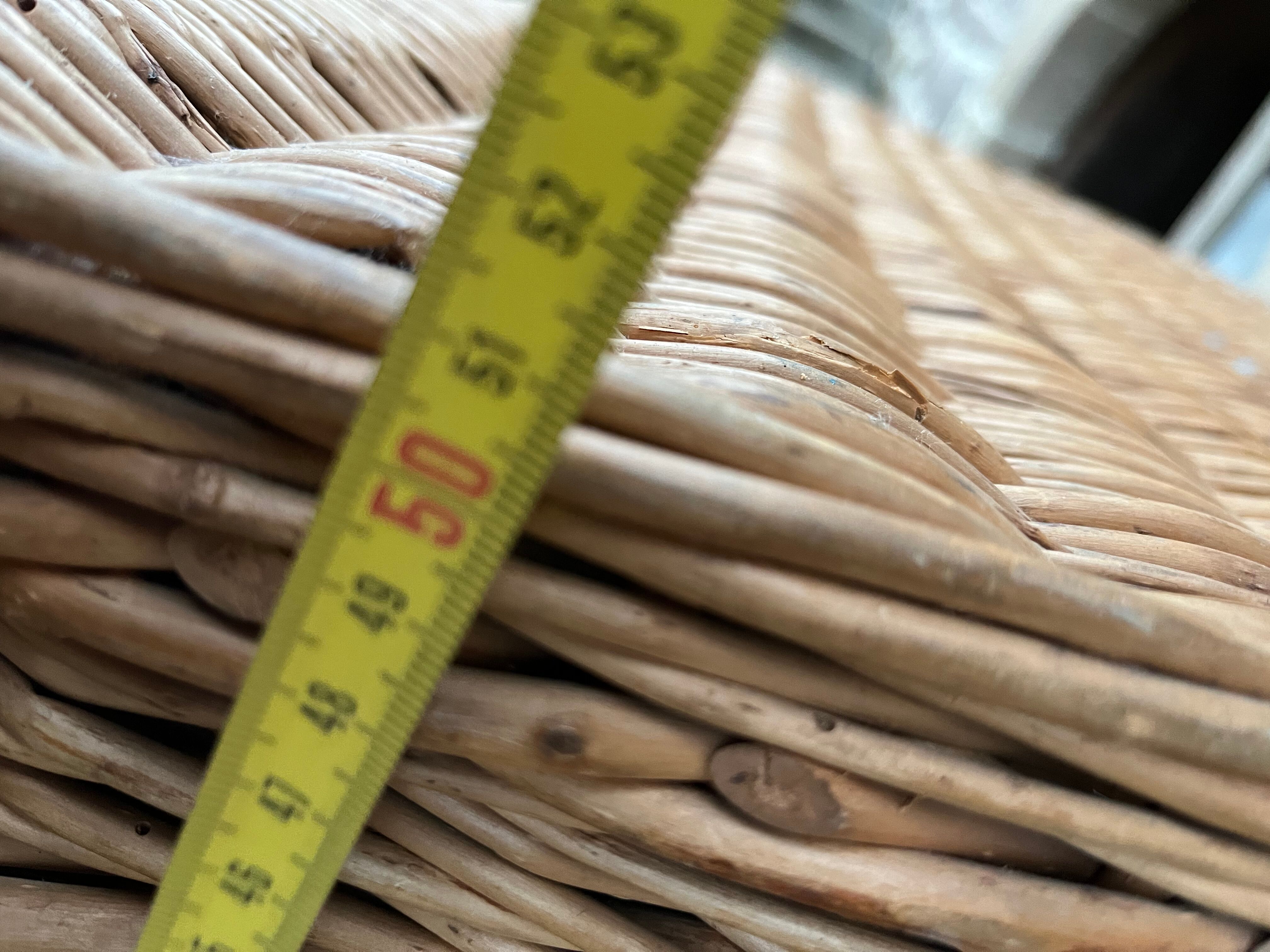 Wicker trunk