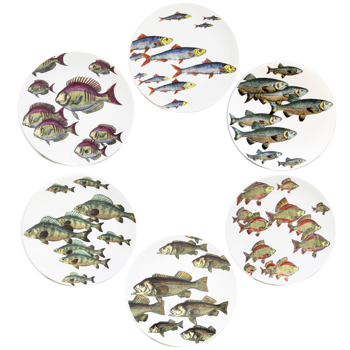 Vintage Set 'Passata Di Pesce' by Piero Fornasetti, 1955