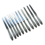 Set of 11 dessert knives in silver metal with stainless steel blades