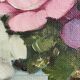 Vintage original flower oil painting, signed floral still life
