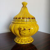 Mustard yellow soup or candy maker