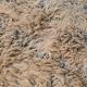 Shag Vintage Moroccan Rug 202 x 325 cm - Berber Wool Rug - Handmade Rug
