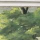 Landscape oil painting