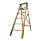 Professional stepladder