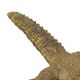 Big Stuffed Spiny-Tailed Dragon Lizard Taxidermy Africa Middle East Agamidae