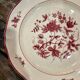 Lot of 5 plates Villeroy - Boch model Frisco red