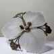 Vintage 1980s-90s Hollywood Regency Art Deco Bronze Mariner Seashell Chandelier