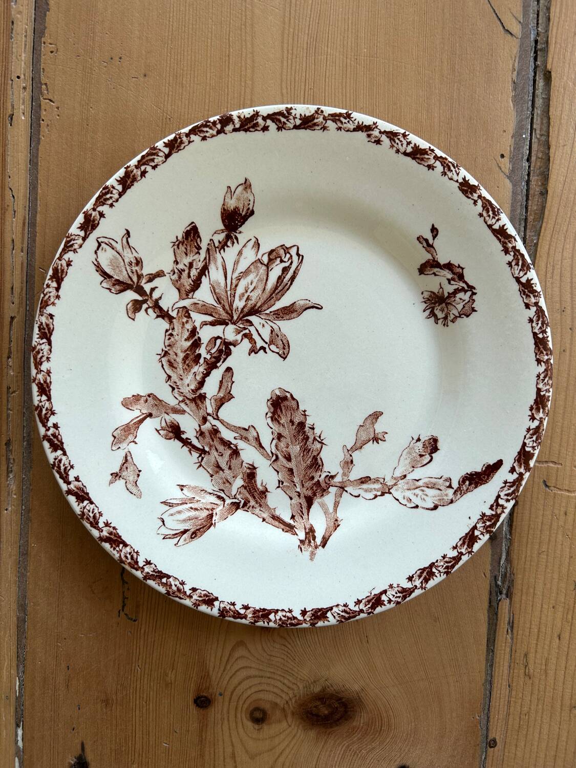 Mismatched set of 6 old flat plates