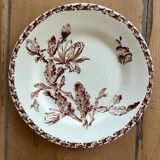 Mismatched set of 6 old flat plates