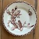 Mismatched set of 6 old flat plates