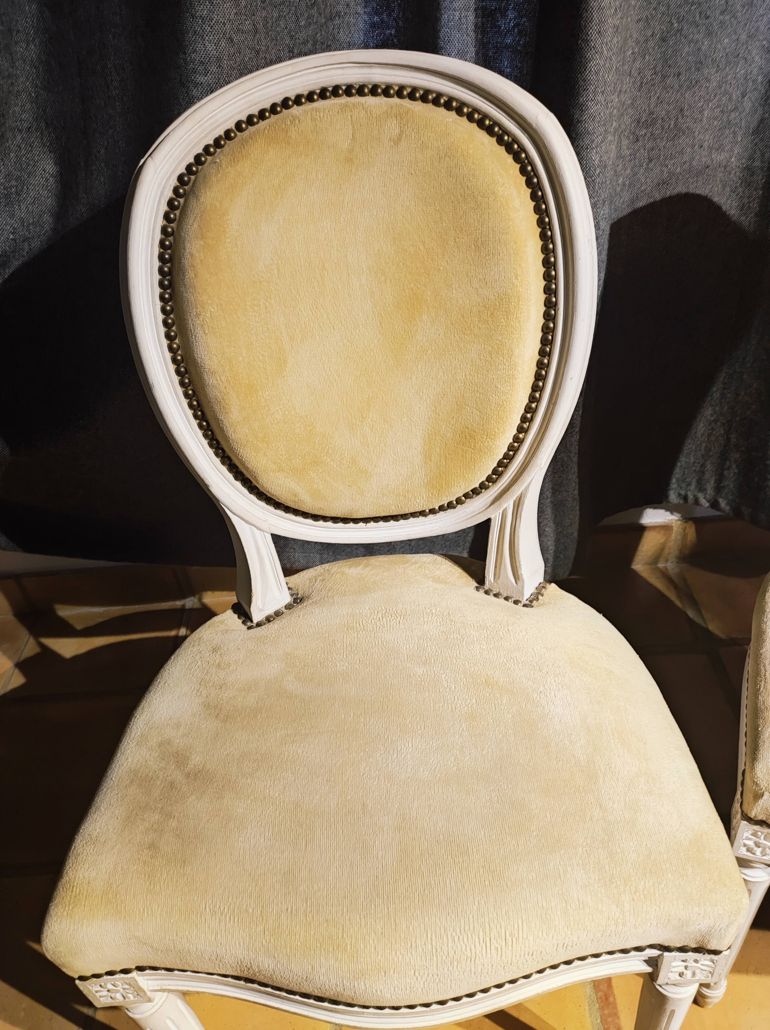 Set of two modern Louis XVI style medallion chairs