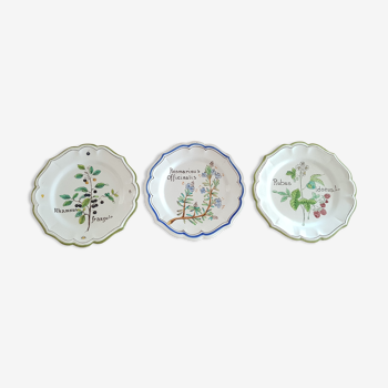 Lot de 3 assiettes motif plantes médicinales