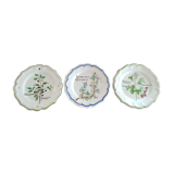Lot de 3 assiettes motif plantes médicinales