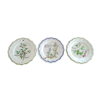 Lot de 3 assiettes motif plantes médicinales