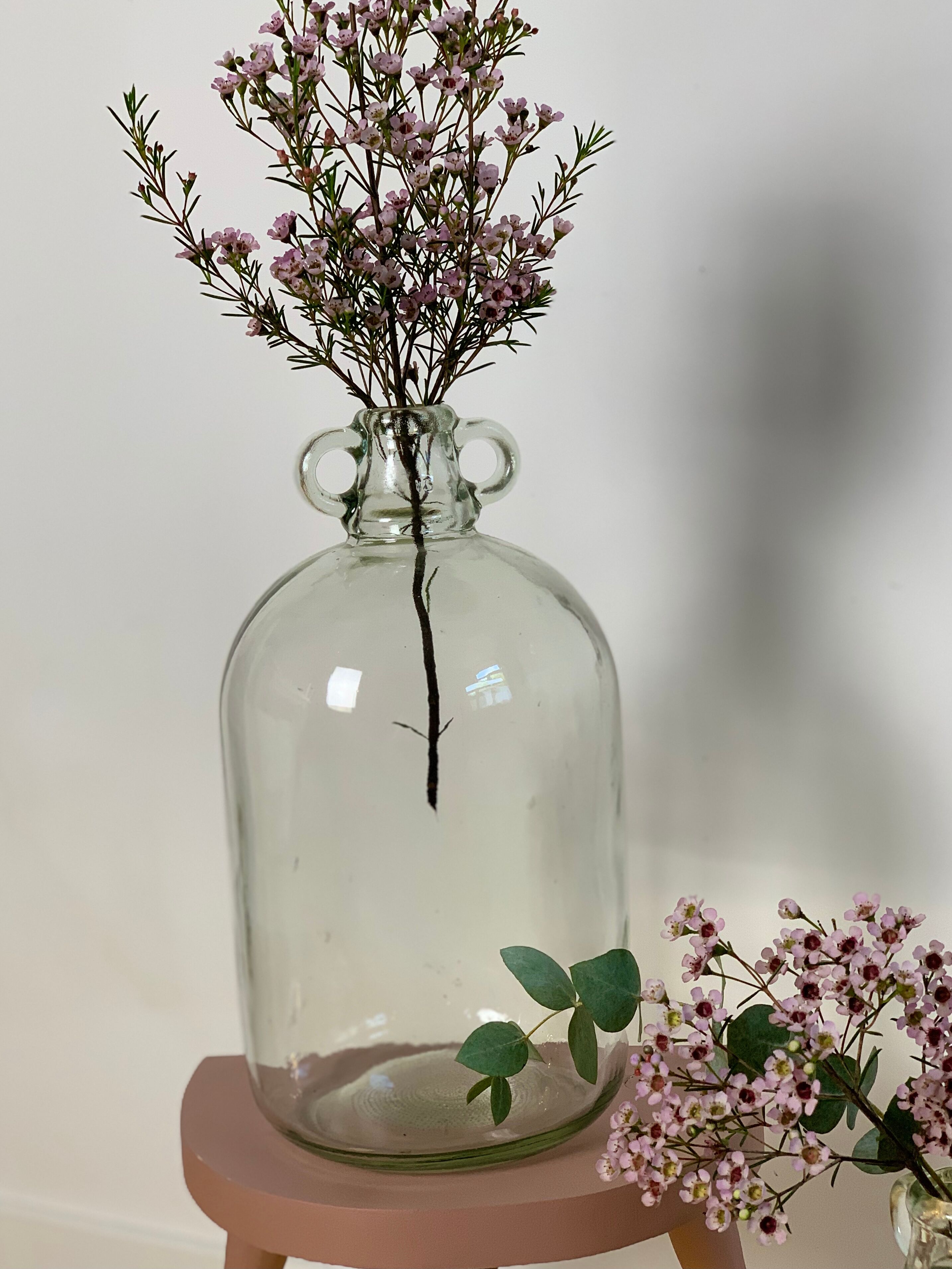 Transparent Lady Jeanne