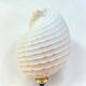 Tonna Galea shell on a turned wooden base, late 19th century curiosities.