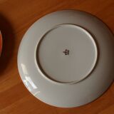 IMARI plates