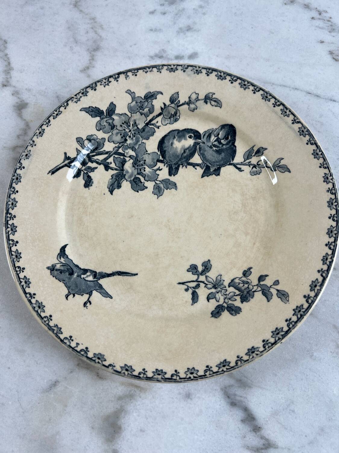 Iron earth plate Sarreguemines favourite