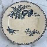 Iron earth plate Sarreguemines favourite