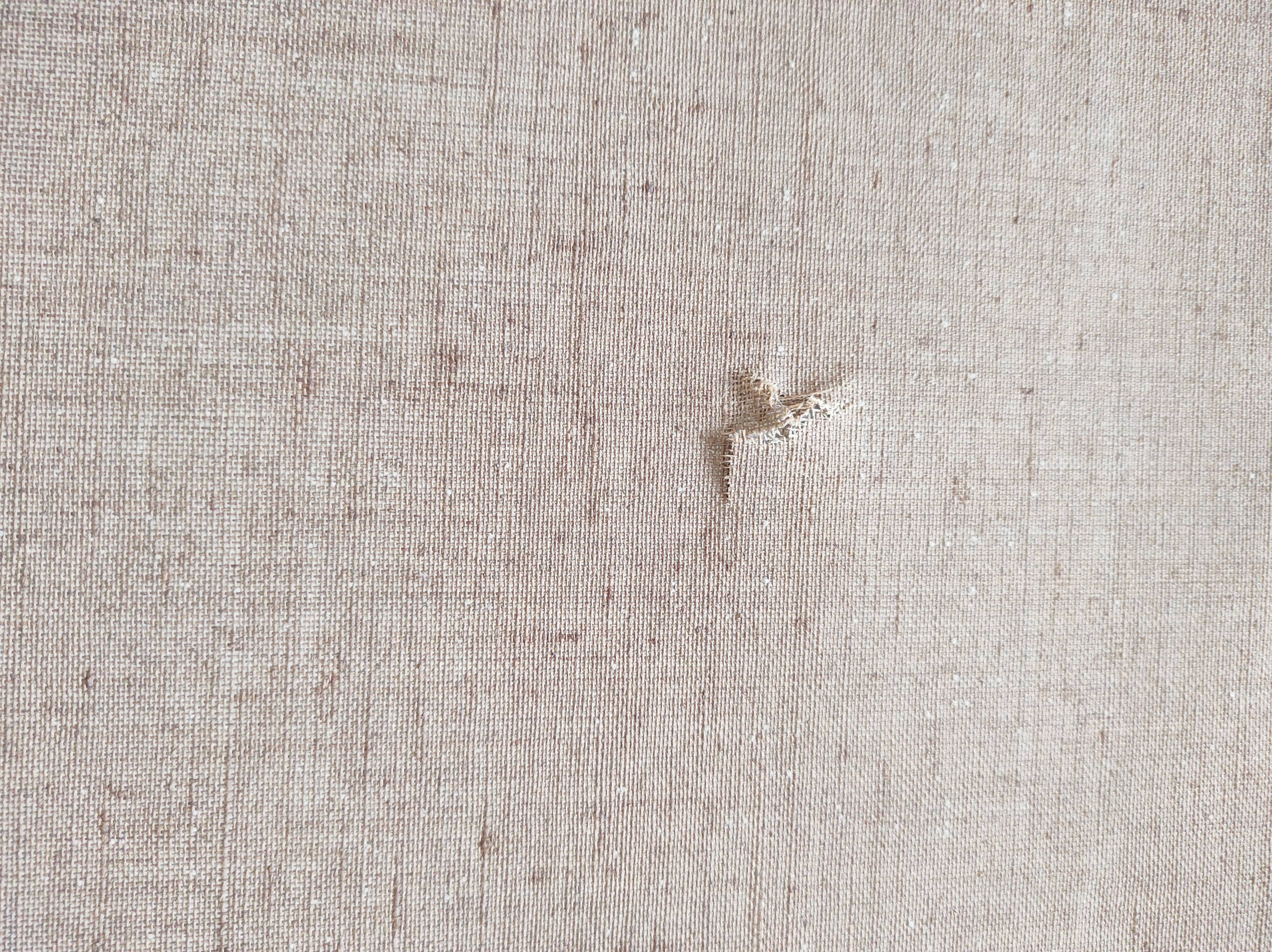 Still life oil on canvas, signed