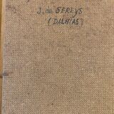 Still life with Dalhia signed J de Sereys, circa 1970.