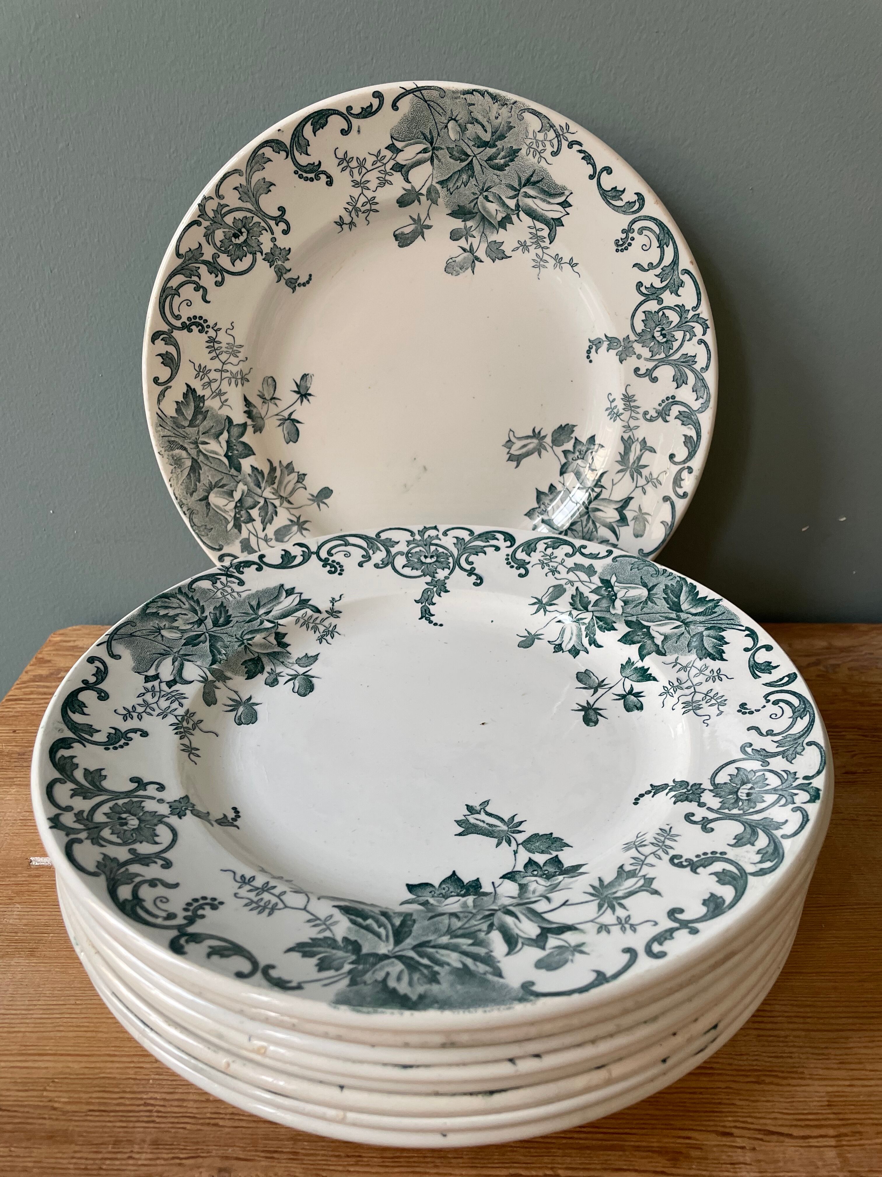 Lot de 9 assiettes plates Terre de Fer modèle « Campanule » St Amand et Hamage
