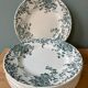 Lot de 9 assiettes plates Terre de Fer modèle « Campanule » St Amand et Hamage