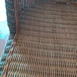 Rattan meridian