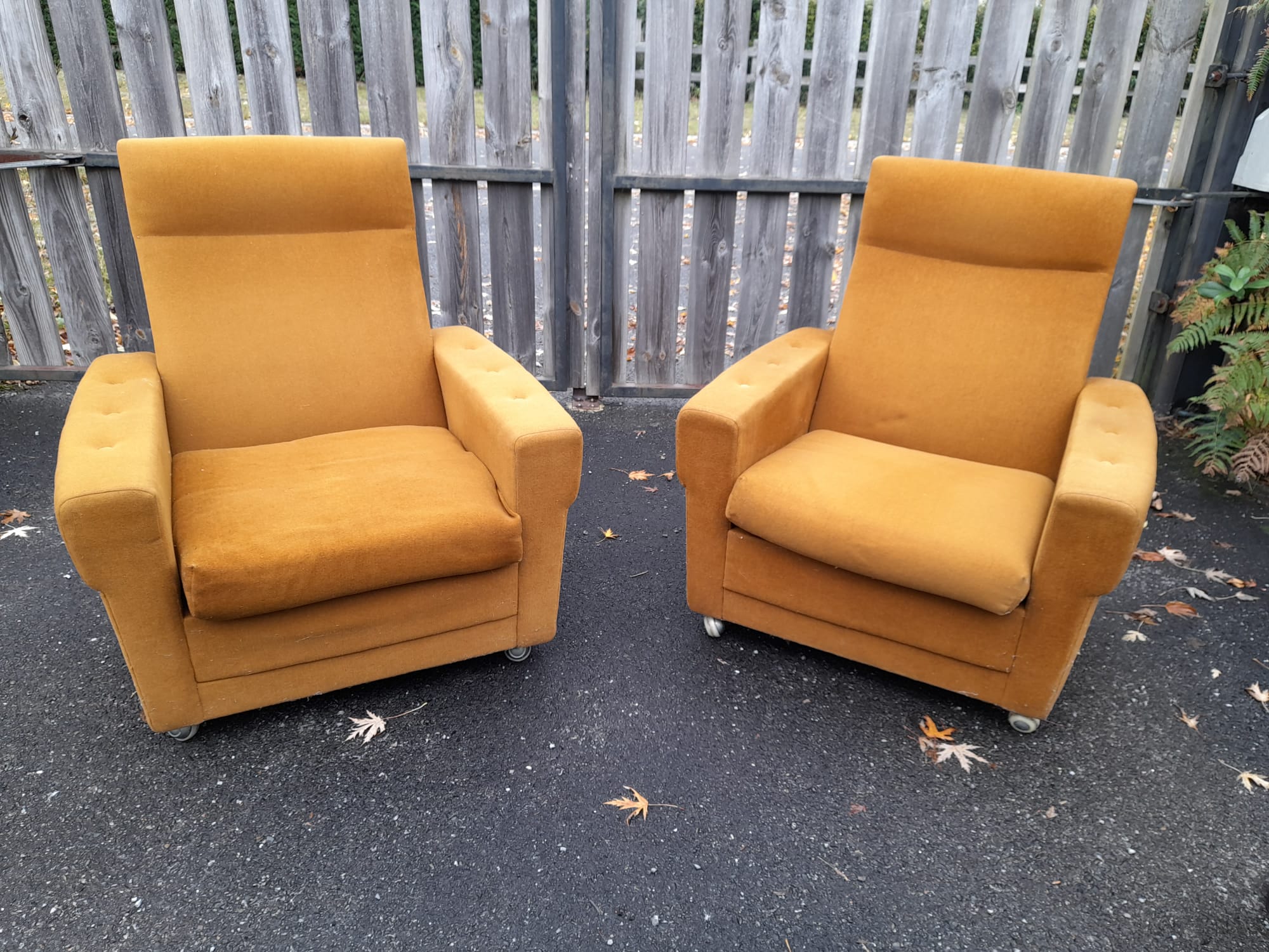 Pair of armchairs from the 70s in ochre velvet