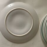 Oyster plates