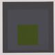 Josef ALBERS: Homage to the Square, Embedded - Colour Screen Print