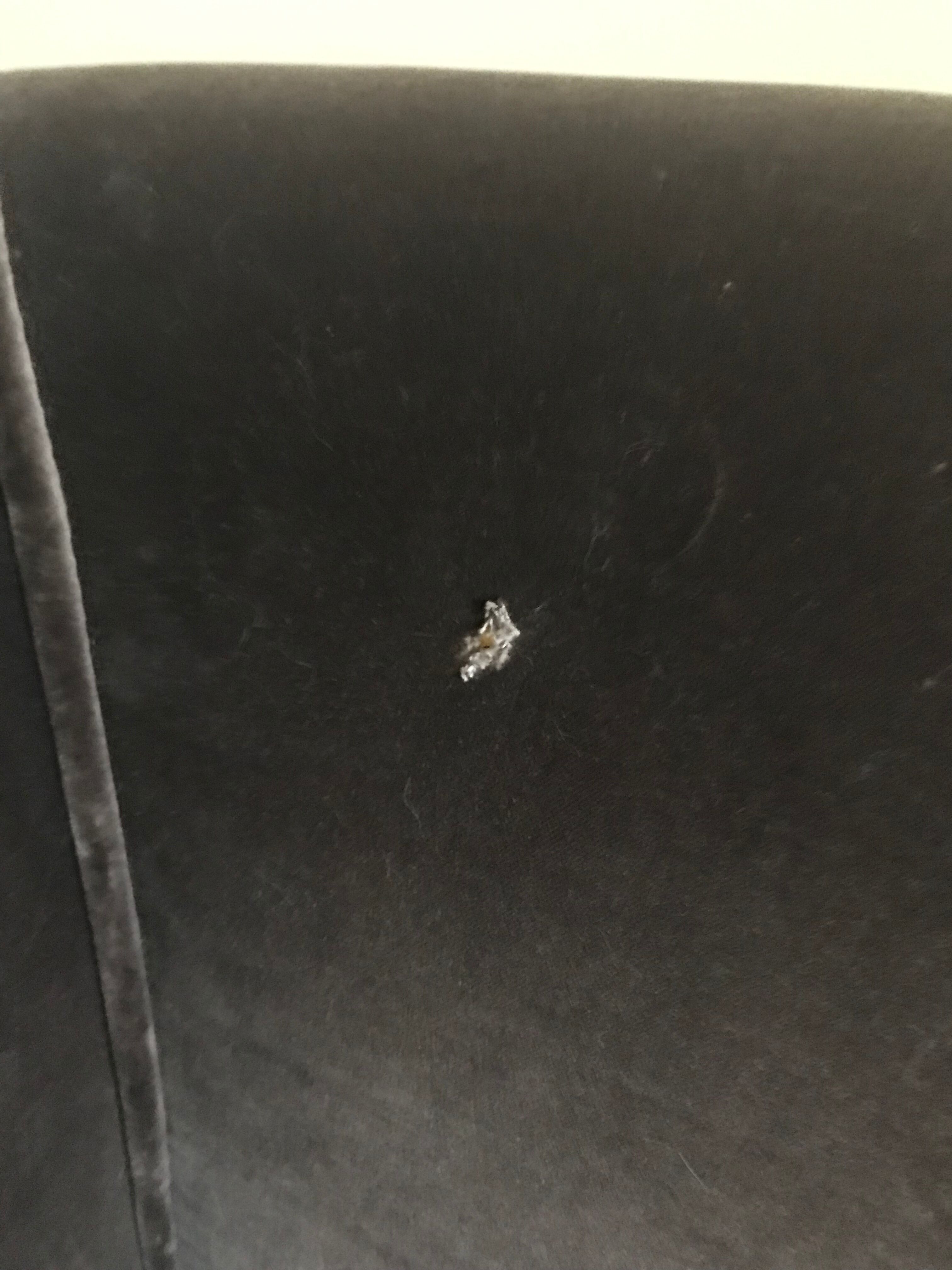 Grey velvet sofa ka international